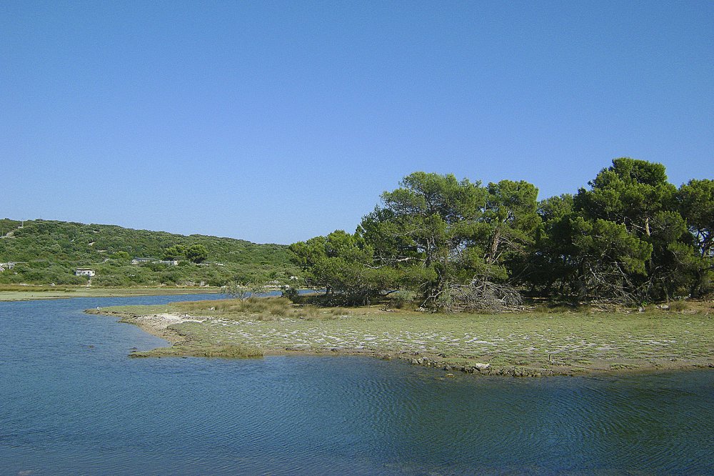 sveta marina
